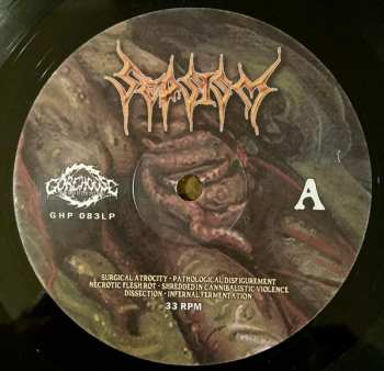 LP Sepsism: Purulent Decomposition