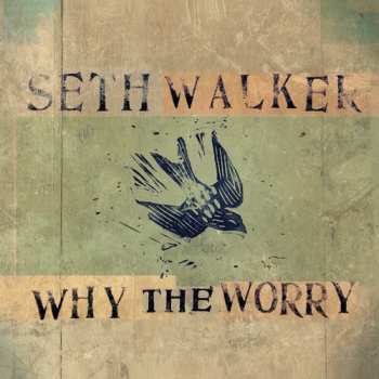 LP Seth Walker: Why The Worry