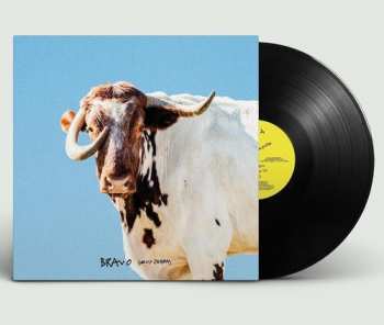 Album SEXY ZEBRAS: Bravo