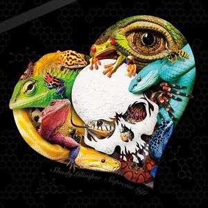 CD Shady Glimpse: Supreme Gift