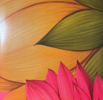 2LP Shakti: Mind Explosion