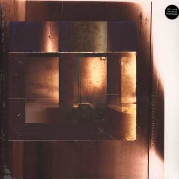 LP Shampoo Boy: Crack