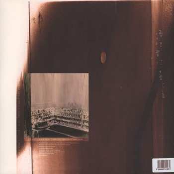 LP Shampoo Boy: Crack