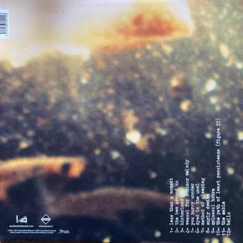 LP Shannon Wright: Dyed In The Wool