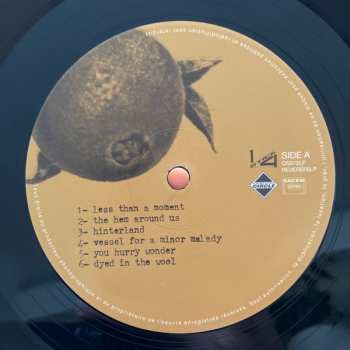 LP Shannon Wright: Dyed In The Wool