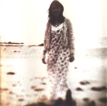 CD Sharon Shannon: Each Little Thing