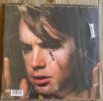 LP Shaun Cassidy: Wasp CLR | LTD