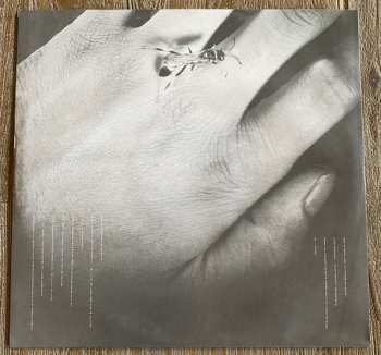 LP Shaun Cassidy: Wasp CLR | LTD