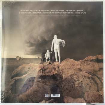 LP Shearwater: Fellow Travelers