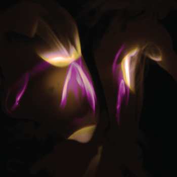 Album Shedir: Before The Last Light Is Blown