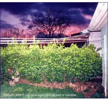 Shelley Short: Captain Wild Horse (Rides The Heart Of Tomorrow)