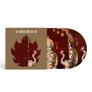 LP Shelter: The Purpose, The Passion LTD | PIC