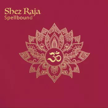 Shez Raja: Spellbound