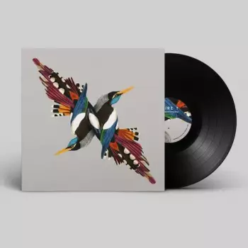 Shire Tea: Tomorrow’s People