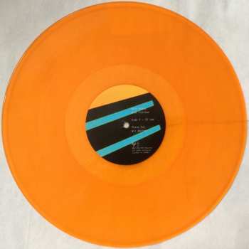 2LP Shit Robot: What Follows CLR