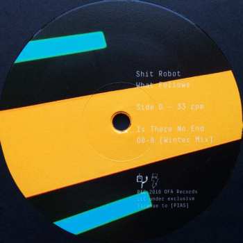 2LP Shit Robot: What Follows CLR
