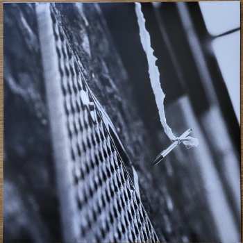 LP Shtar Academy: Shtar Academy (Saison 2)