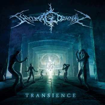 Album Shylmagoghnar: Transience