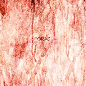 Siavash Amini: Foras