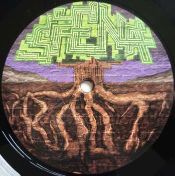 LP Siena Root: The Secret Of Our Time LTD