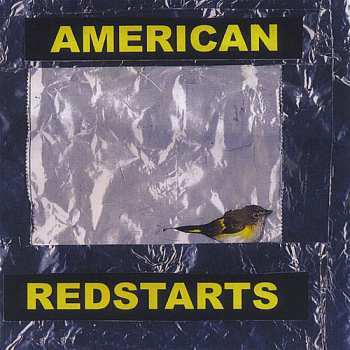 Album Sigismondi,paul: American Redstarts