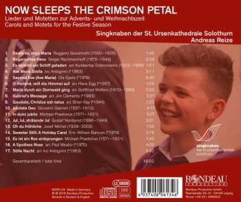 CD Singknaben Der St. Ursen Kathedrale: Now Sleeps The Crimson Petal