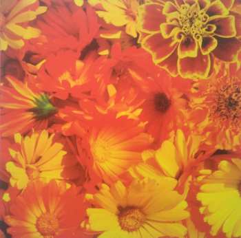 CD Siouxsie & The Banshees: All Souls LTD