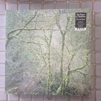 LP Six Organs Of Admittance: Dust & Chimes CLR