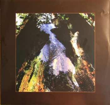 LP Six Organs Of Admittance: Luminous Night