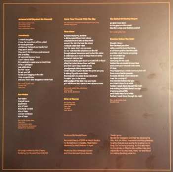 LP Six Organs Of Admittance: Luminous Night