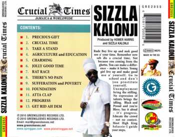 CD Sizzla: Crucial Times