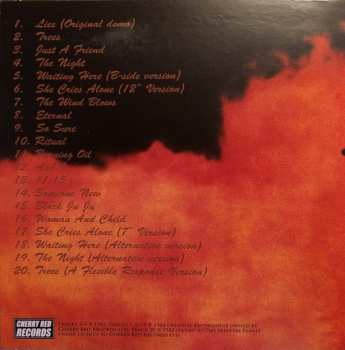 5CD/Dobozkészlet Skeletal Family: Eternal (Singles · Albums · Rarities · BBC Sessions · Live · Demos 1982-2015)