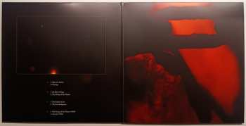 2LP Skepticism: Stormcrowfleet CLR | LTD