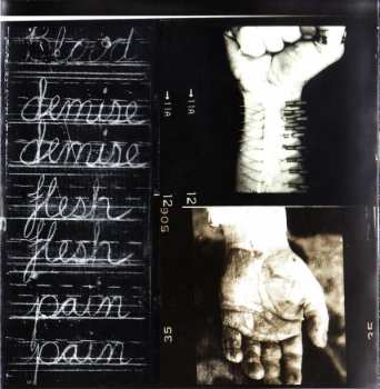 CD Slayer: Diabolus In Musica