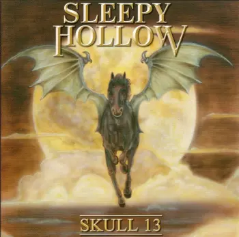 Skull 13