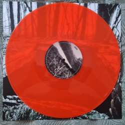 2LP Slipknot: All Hope Is Gone LTD | CLR