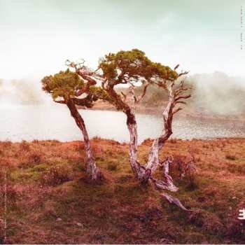 LP Slowly Rolling Camera: Juniper