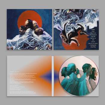 CD Little Dragon: Slugs of Love