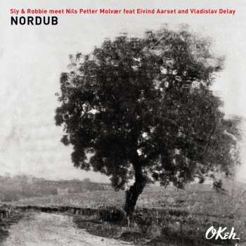 Album Eivind Aarset: Nordub