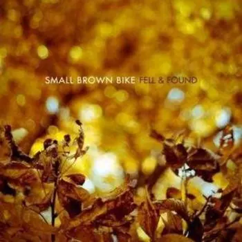 Small Brown Bike: Fell & Found