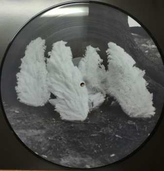 LP Smith & Burrows: Funny Looking Angels LTD | PIC