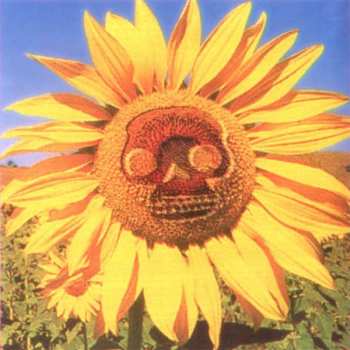 CD Snog: Buy Me... I'll Change Your Life