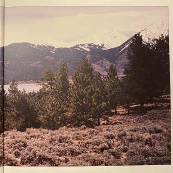 LP Soccer Mommy: Evergreen CLR | LTD