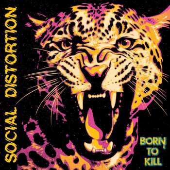 Album Social Distortion: Born To Kill