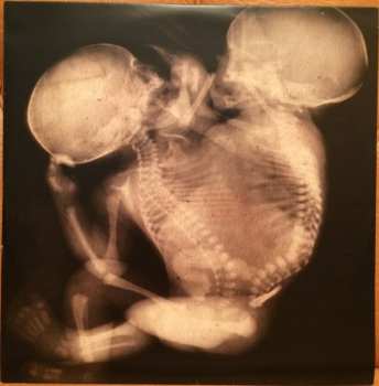 2LP Sodom: Agent Orange