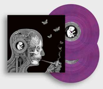 2LP Soen: Cognitive LTD | CLR