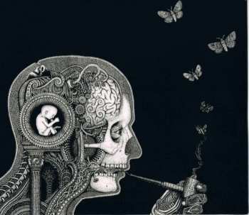 CD Soen: Cognitive DIGI
