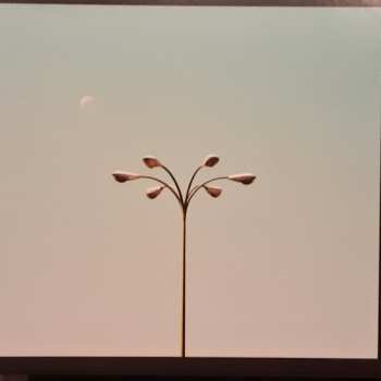 CD Sola Rosa: Chasing The Sun