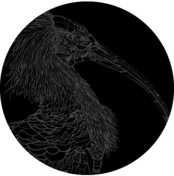 LP Solomun: Kackvogel