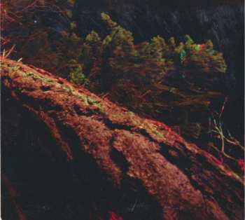 CD Solos: Beast Of Both Worlds